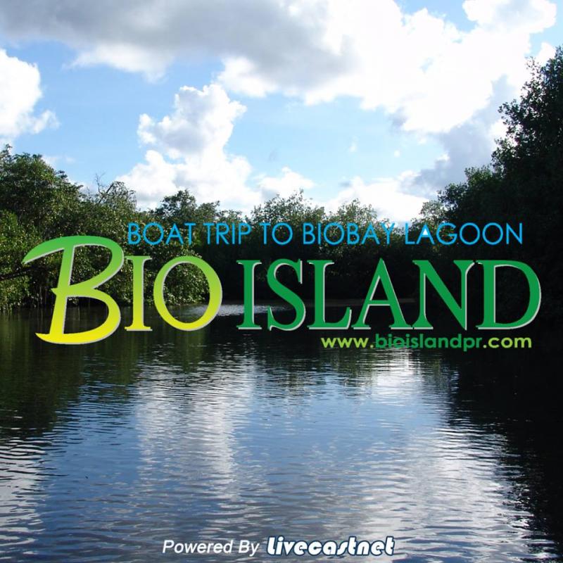 Bio Island Electrical Boat